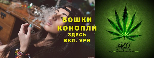 спиды Бородино