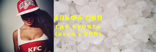 спиды Бородино