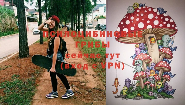 герыч Бугульма