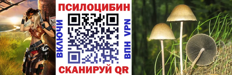 Галлюциногенные грибы мухоморы  Грозный 